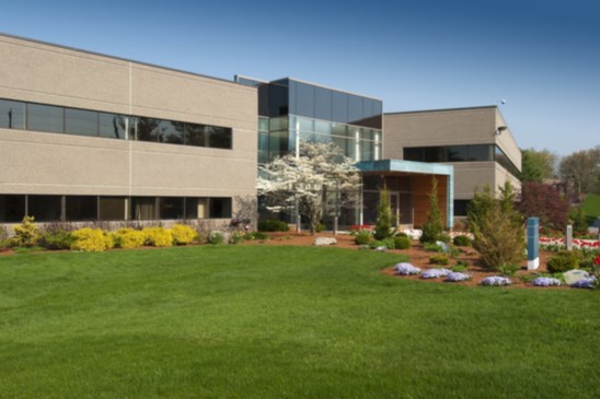 Landscaping Services Image 2