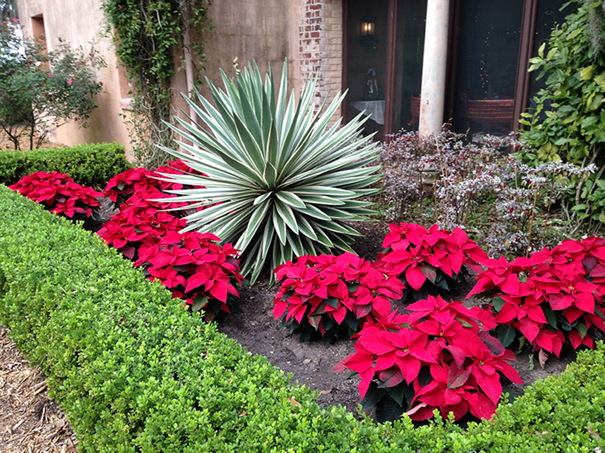 Landscaping Services Image 3